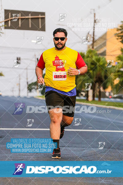 Eco Corrida 90k Londrina