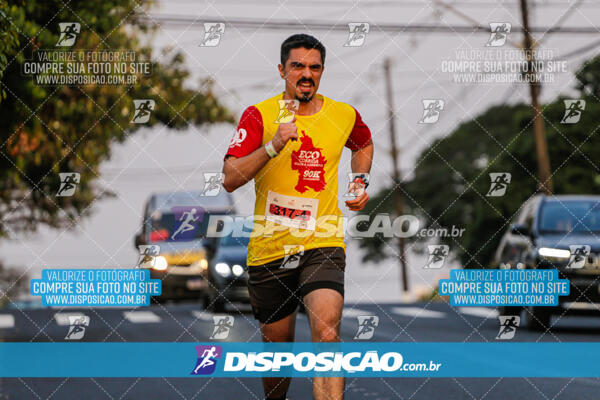 Eco Corrida 90k Londrina