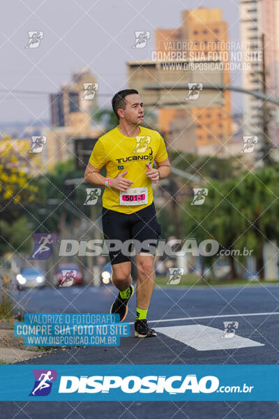 Eco Corrida 90k Londrina