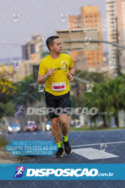 Eco Corrida 90k Londrina