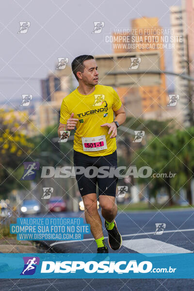 Eco Corrida 90k Londrina