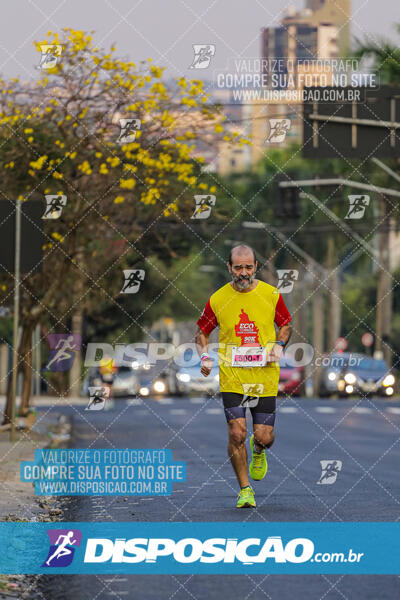 Eco Corrida 90k Londrina