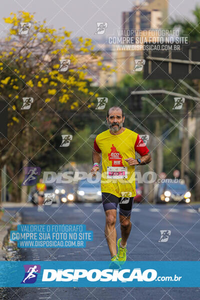 Eco Corrida 90k Londrina