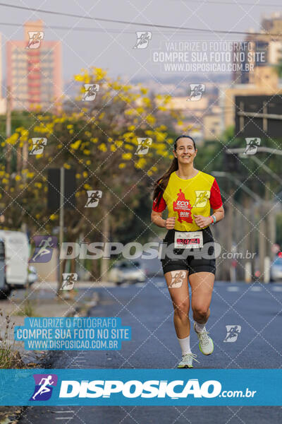 Eco Corrida 90k Londrina