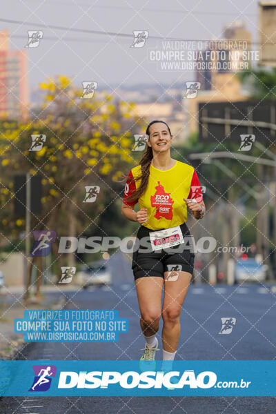 Eco Corrida 90k Londrina