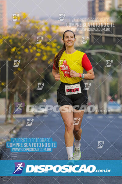 Eco Corrida 90k Londrina