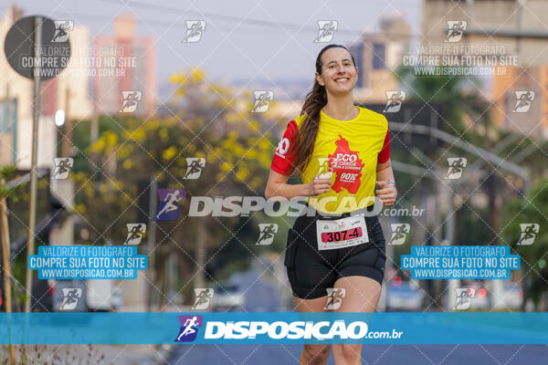 Eco Corrida 90k Londrina