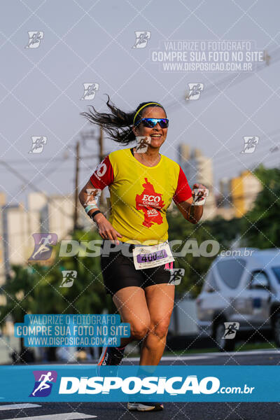 Eco Corrida 90k Londrina