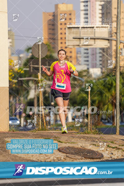 Eco Corrida 90k Londrina