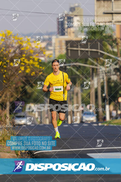 Eco Corrida 90k Londrina