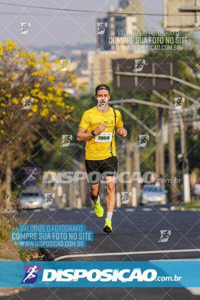 Eco Corrida 90k Londrina