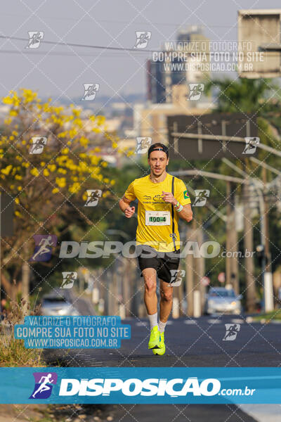 Eco Corrida 90k Londrina