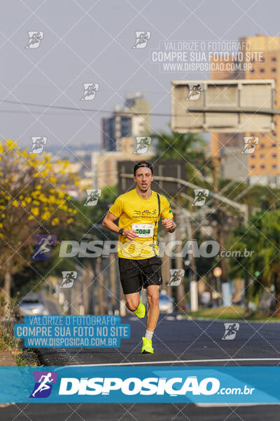 Eco Corrida 90k Londrina