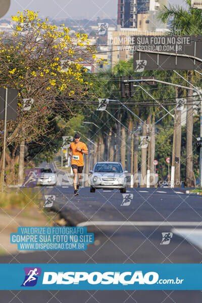 Eco Corrida 90k Londrina