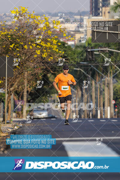 Eco Corrida 90k Londrina