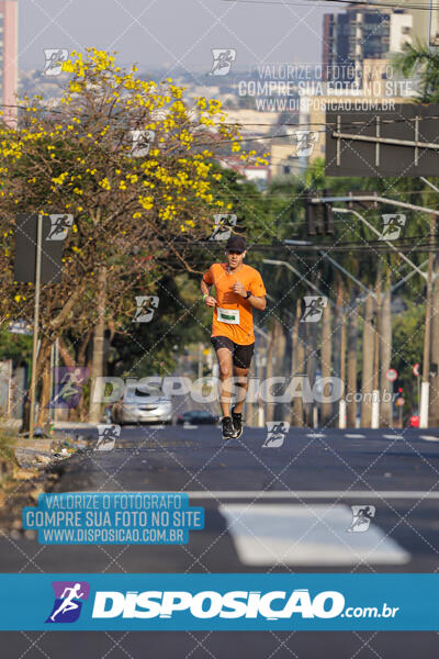 Eco Corrida 90k Londrina