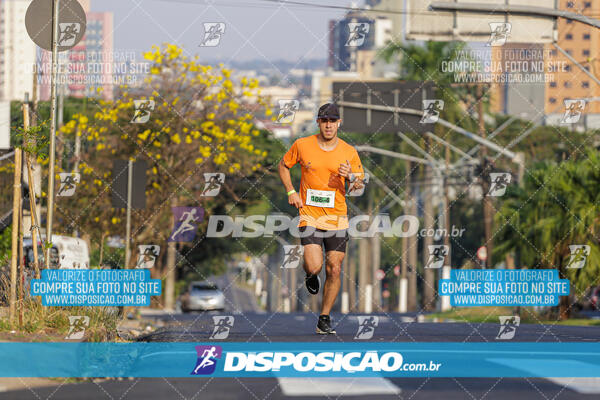 Eco Corrida 90k Londrina