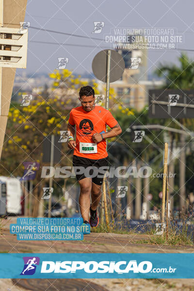 Eco Corrida 90k Londrina