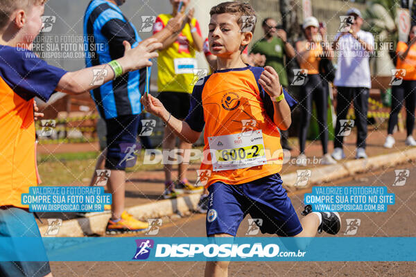 Eco Corrida 90k Londrina