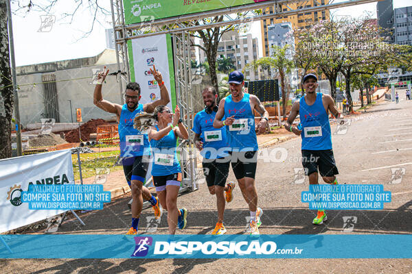 Eco Corrida 90k Londrina