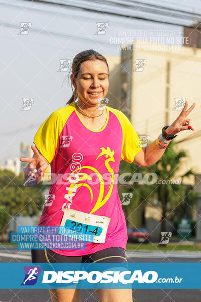 Eco Corrida 90k Londrina