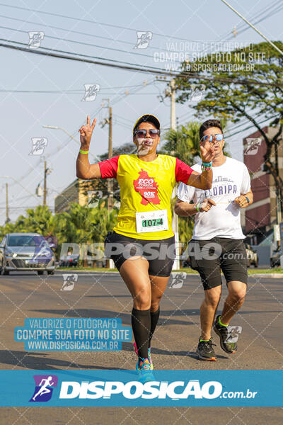 Eco Corrida 90k Londrina