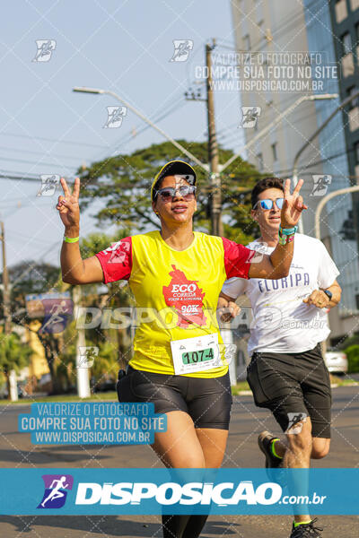 Eco Corrida 90k Londrina