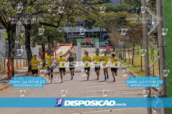 Eco Corrida 90k Londrina