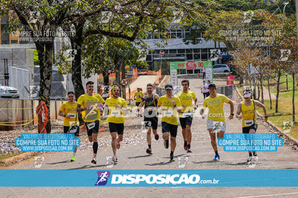 Eco Corrida 90k Londrina