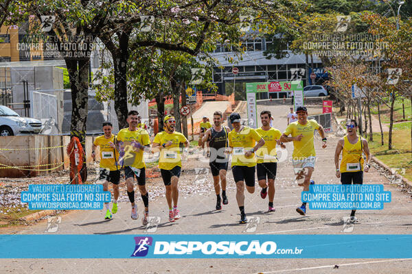 Eco Corrida 90k Londrina