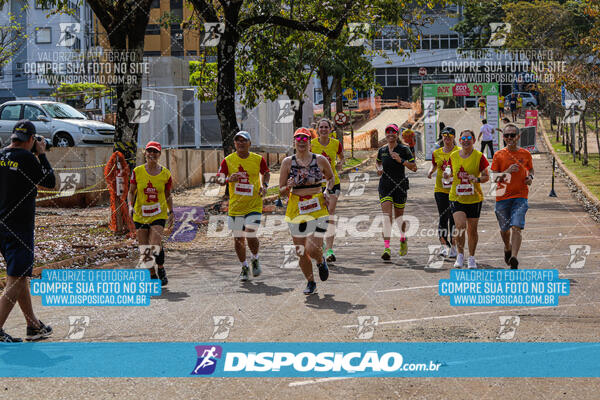 Eco Corrida 90k Londrina