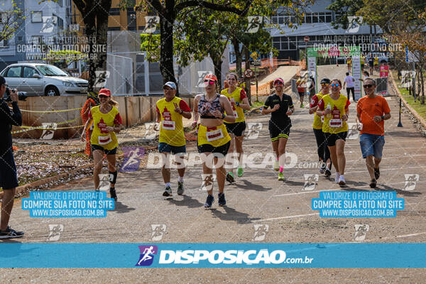 Eco Corrida 90k Londrina