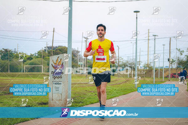 Eco Corrida 90k Londrina