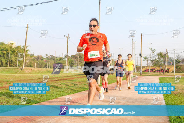 Eco Corrida 90k Londrina