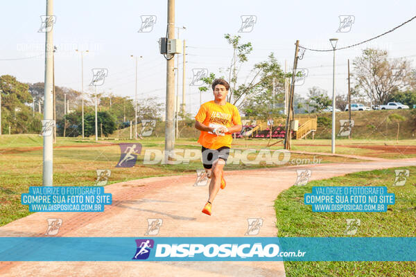 Eco Corrida 90k Londrina