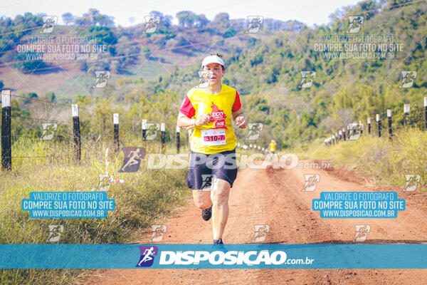 Eco Corrida 90k Londrina