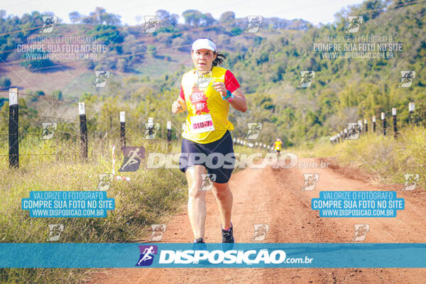 Eco Corrida 90k Londrina