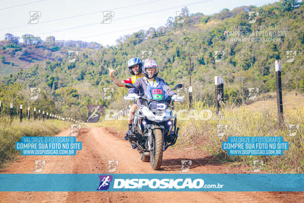 Eco Corrida 90k Londrina