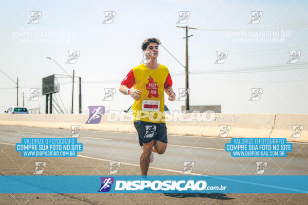 Eco Corrida 90k Londrina