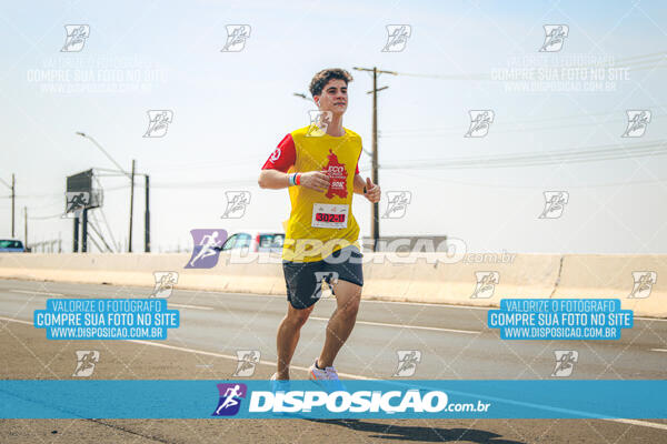 Eco Corrida 90k Londrina