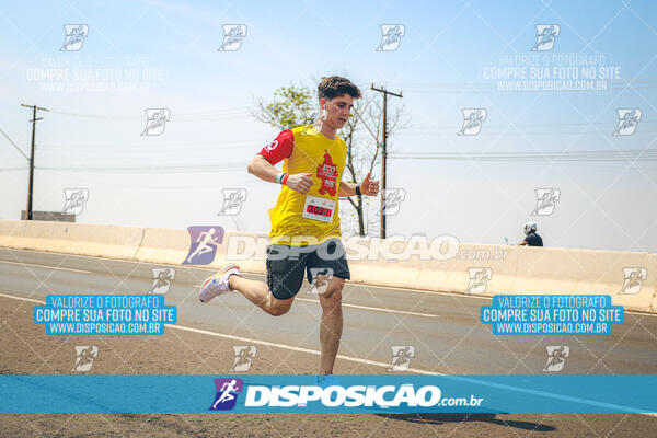 Eco Corrida 90k Londrina