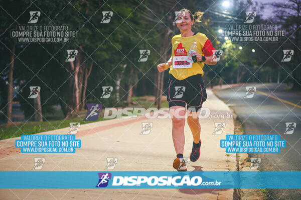 Eco Corrida 90k Londrina