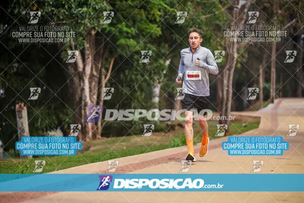 Eco Corrida 90k Londrina