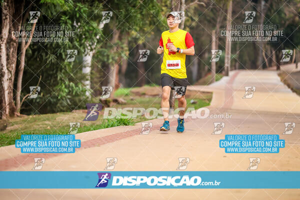 Eco Corrida 90k Londrina