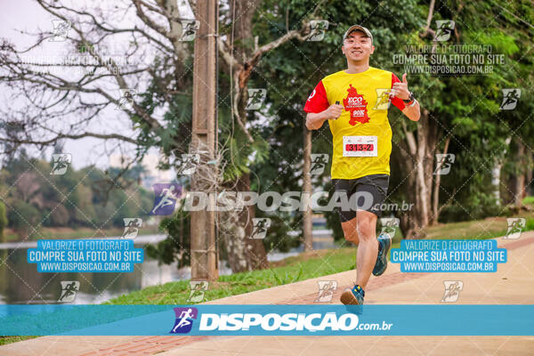 Eco Corrida 90k Londrina