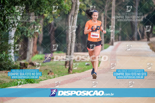 Eco Corrida 90k Londrina