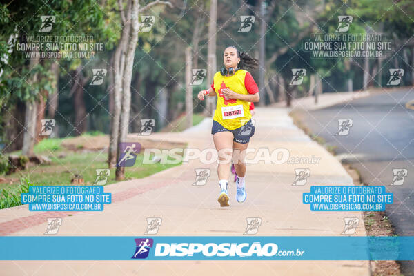 Eco Corrida 90k Londrina