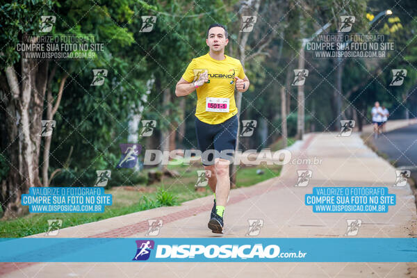 Eco Corrida 90k Londrina