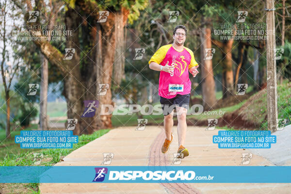 Eco Corrida 90k Londrina