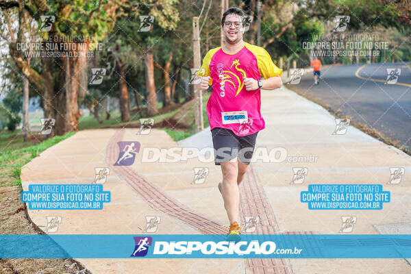 Eco Corrida 90k Londrina